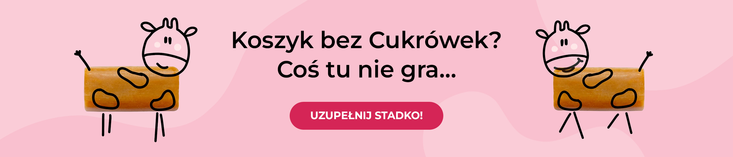 Powrót do sklepu